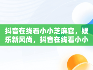 抖音在线看小小芝麻官，娱乐新风尚，抖音在线看小小芝麻官电视剧 