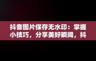 抖音图片保存无水印：掌握小技巧，分享美好瞬间，抖音图片保存无水印在线工具 