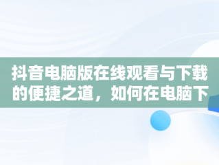 抖音电脑版在线观看与下载的便捷之道，如何在电脑下载抖音在线观看 