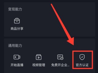 抖音官网移动端充值,抖音官网移动端充值折扣