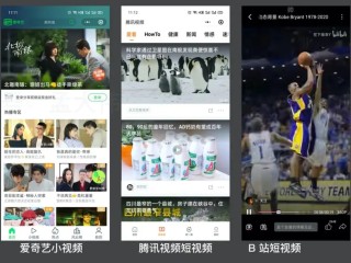 抖音网页版入口在线观看(抖音网页版入口在线观看直播)