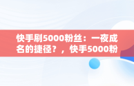 快手刷5000粉丝：一夜成名的捷径？，快手5000粉可以做什么 