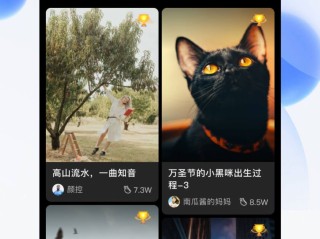 关于短视频app91官网的信息