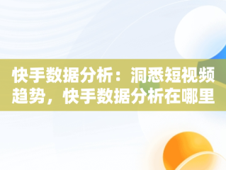 快手数据分析：洞悉短视频趋势，快手数据分析在哪里能看到 