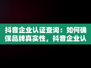 抖音企业认证查询：如何确保品牌真实性，抖音企业认证查询官网 