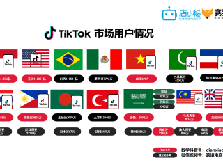 跨境电商平台哪个最好最可靠,跨境电商平台tiktok
