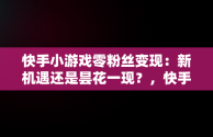 快手小游戏零粉丝变现：新机遇还是昙花一现？，快手小游戏零粉丝变现怎么弄 