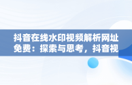 抖音在线水印视频解析网址免费：探索与思考，抖音视频水印解析网站 