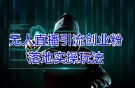 无人直播效果怎么样,无人直播游戏攻略