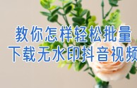 抖音小视频如何下载到手机相册,抖音小视频如何下载