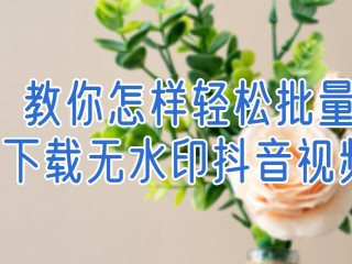 抖音小视频如何下载到手机相册,抖音小视频如何下载