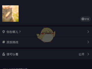 抖音在线看短视频怎么看不到,抖音在线看短视频怎么看