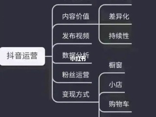 抖音短视频运营技巧(抖音短视频运营是做什么的)
