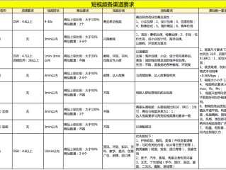 关于短视频负责人需要哪些条件的信息