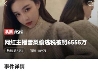 网络主播偷税漏税,网络主播偷税漏税是谁