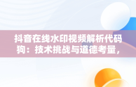 抖音在线水印视频解析代码狗：技术挑战与道德考量，抖音视频水印解析在线使用 