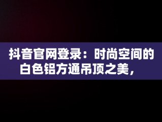 抖音官网登录：时尚空间的白色铝方通吊顶之美， 
