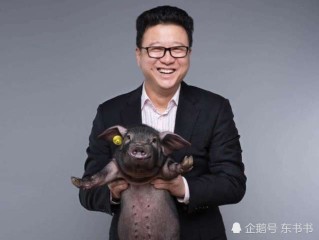 现在快手老板是谁,谁是快手的老板是谁