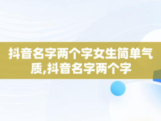 抖音名字两个字女生简单气质,抖音名字两个字