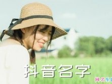 抖音名字怎么起(抖音名字怎么起名)