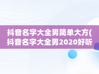 抖音名字大全男简单大方(抖音名字大全男2020好听)