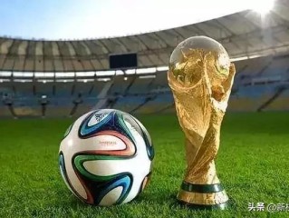 抖音电脑版在线观看世界杯,抖音电脑版可以看视频直播吗?