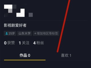 抖音在线看版(抖音网页在线看)