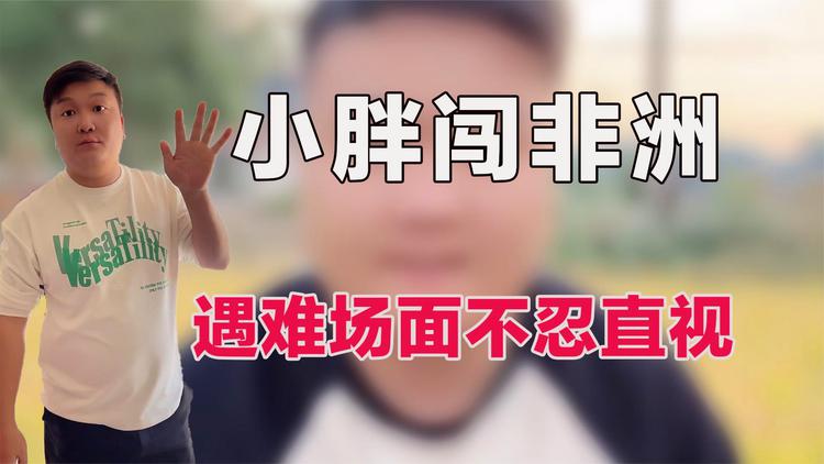 网红小胖为什么被杀(网红小胖为什么被杀了)