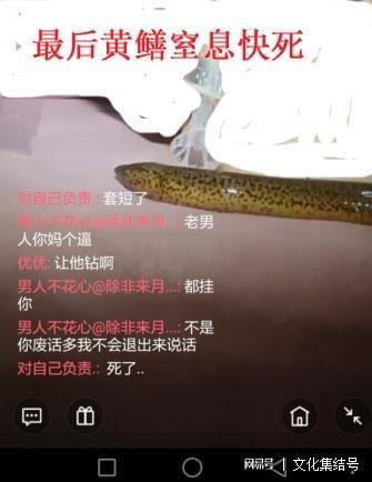 女主播黄鳝是什么梗(女主播黄鳝视频原视频无删减)