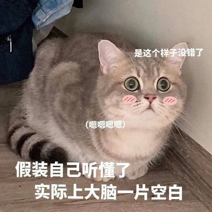 抖音五只猫摇头表情包,五只猫咪摇头表情包怎么添加到微信