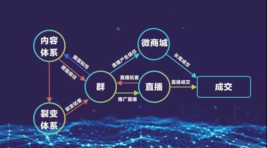 新手做直播运营该从何开始,新手做直播运营该从何开始入手