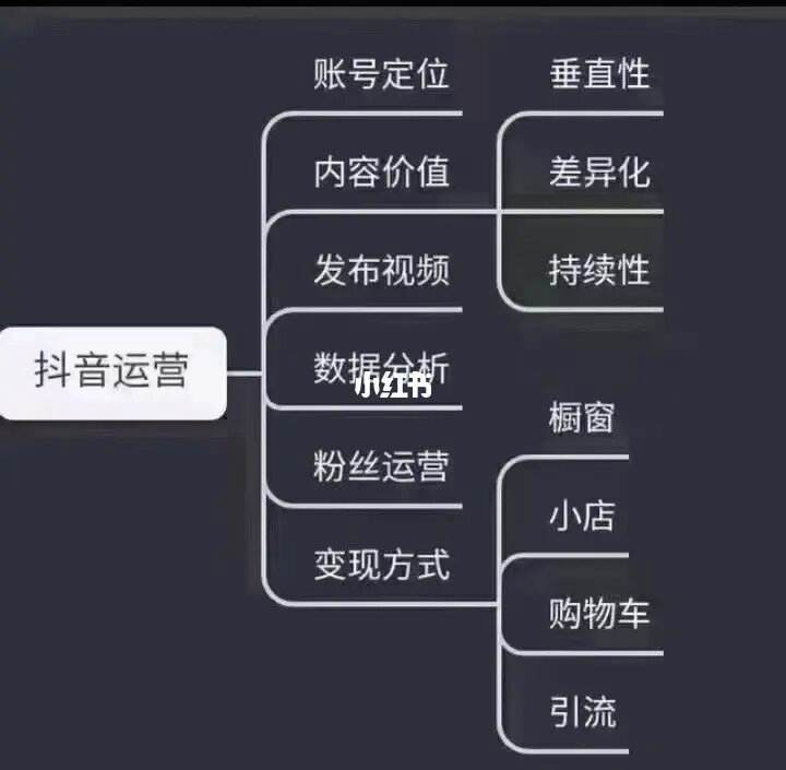 抖音短视频运营技巧(抖音短视频运营是做什么的)