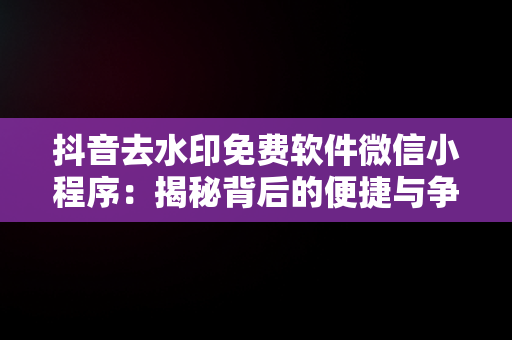 抖音去水印免费软件微信小程序：揭秘背后的便捷与争议，抖音去水印免费软件微信小程序叫什么 