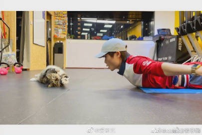 aini,爱你不逢时