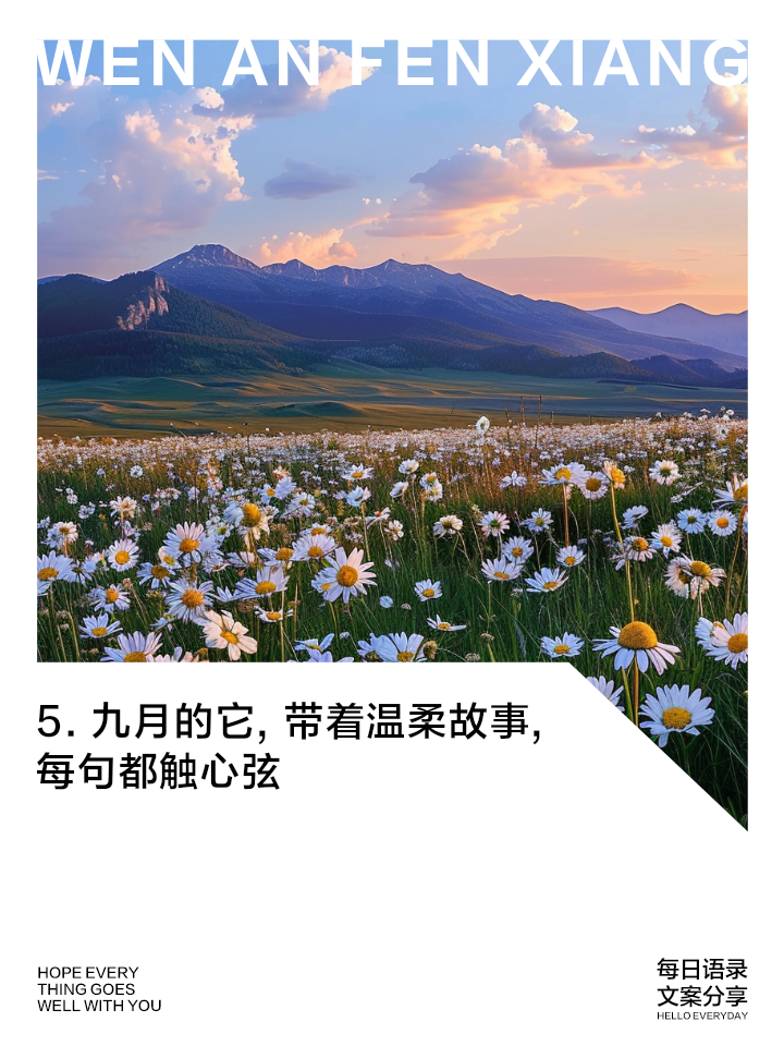 九月最火走心的句子,九月份短句