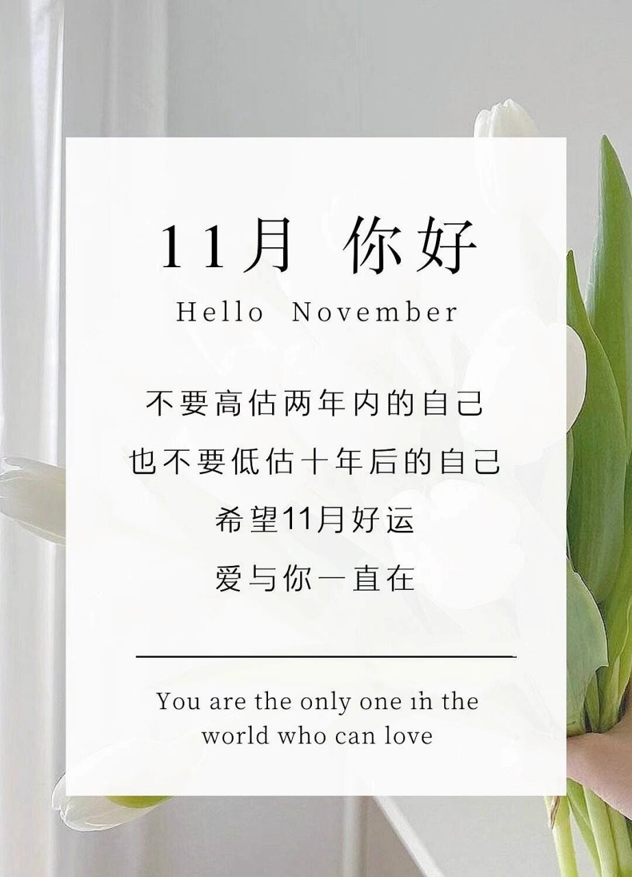 十一月最火文案短句,十一月最火文案短句有音符