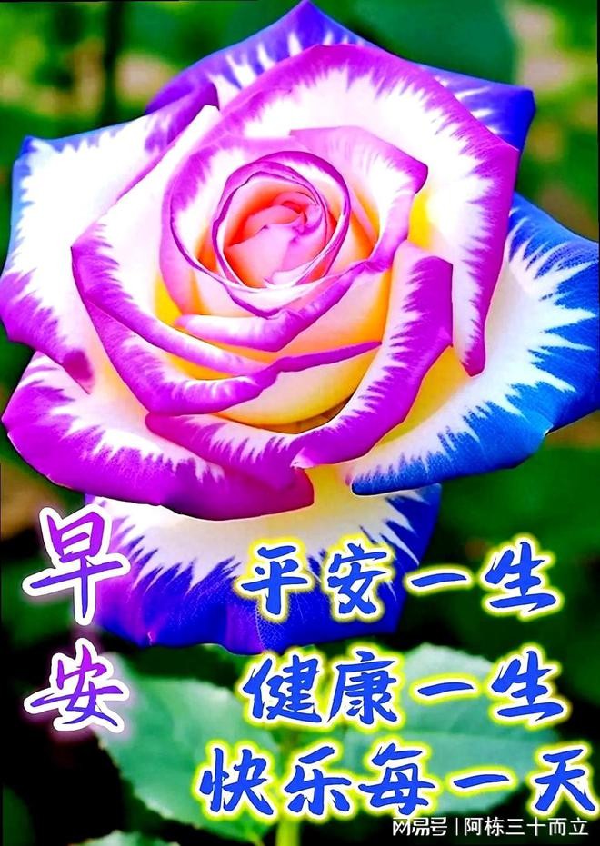 最火最好的早上好图片(最火最好的早上好图片美女)