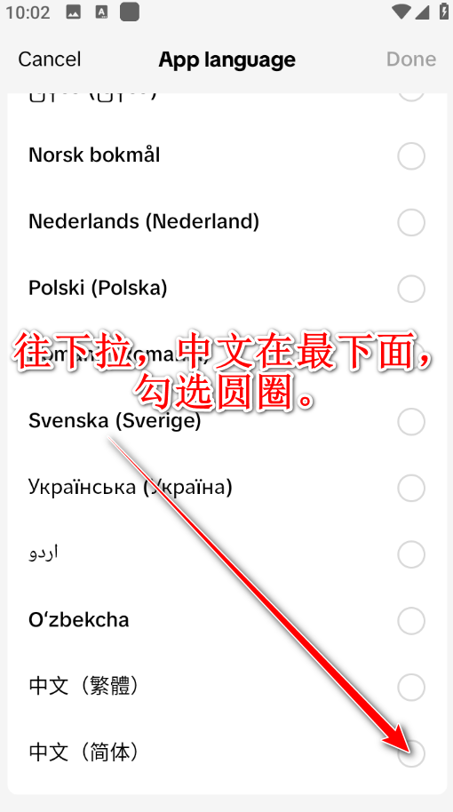 ios抖音国际版tiktok下载,ios抖音国际版下载安装