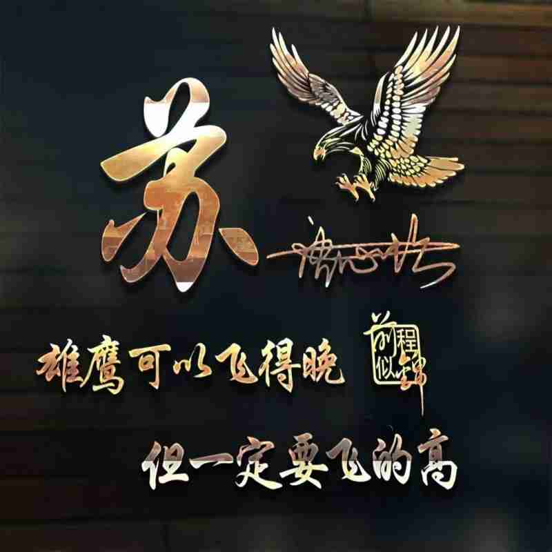 带苏字最火微信昵称,带苏字的个性网名