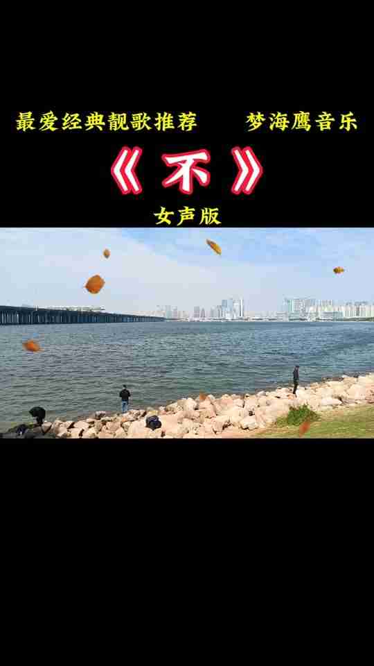 快手最火歌曲前十名是谁,快手最火歌曲前十名