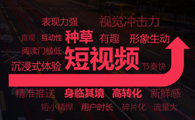 关于短视频负责人需要哪些条件的信息