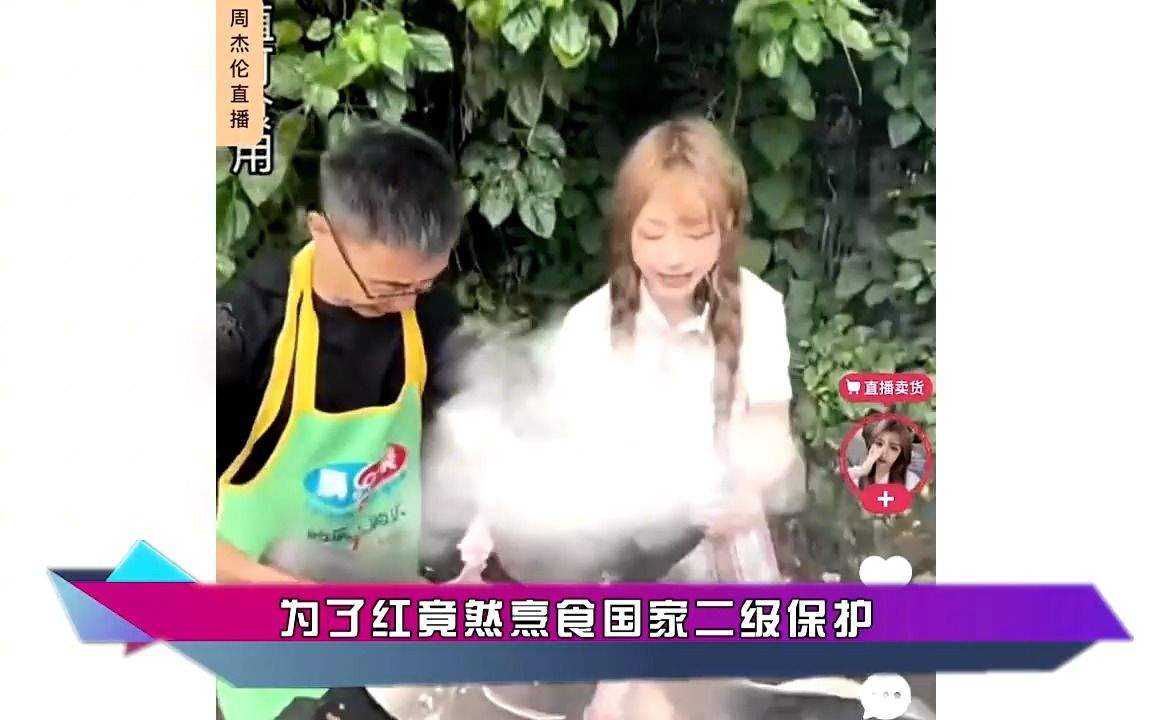 网红提提是哪里人,网红提子现状