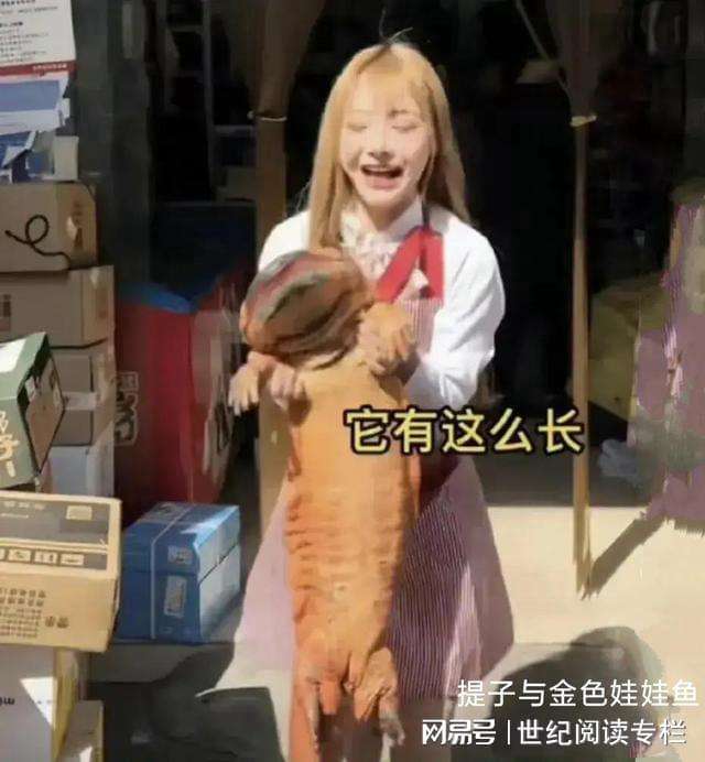 网红提子坐牢了吗的简单介绍