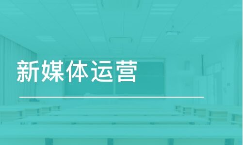 新媒体运营师证书怎么考(新媒体运营师证书考试费用)