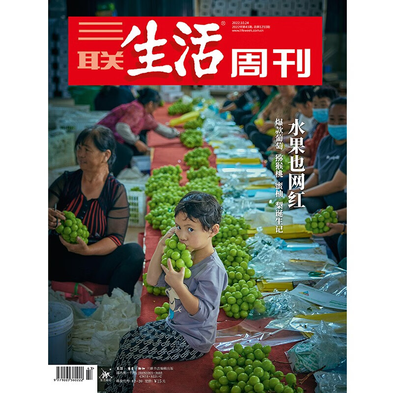 三联生活周刊全年订阅价格,三联生活周刊网红小冉